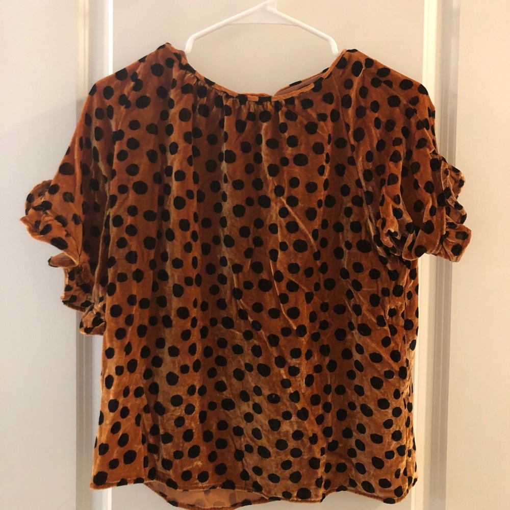 Velvet Leopard Madewell Blouse